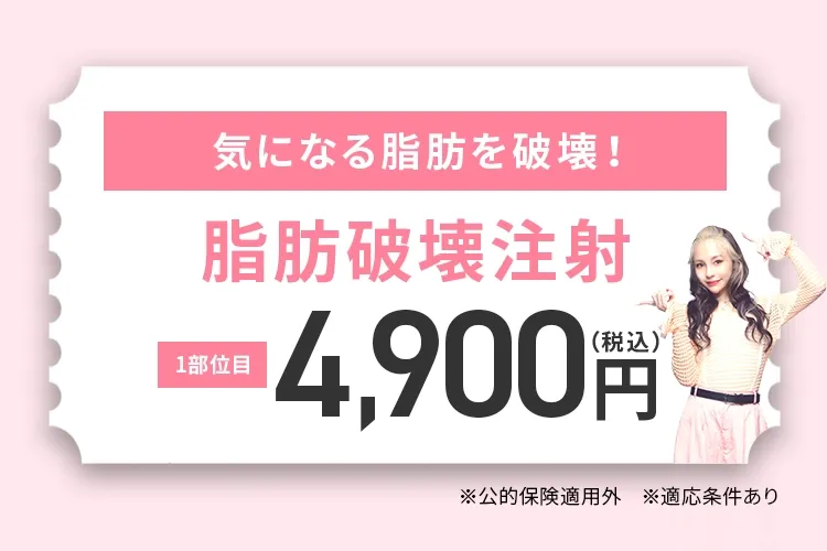 ver26脂肪破壊注射で気になる脂肪を破壊！ LINE友だち追加限定1部位 4,900円(税込)〜