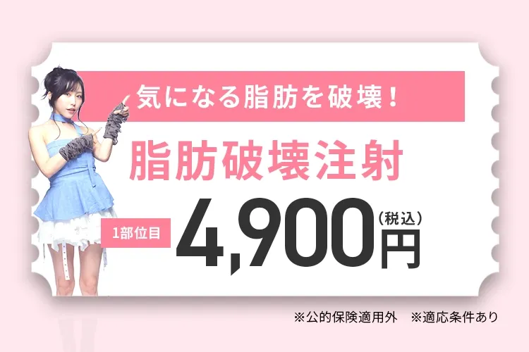 ver26脂肪破壊注射で気になる脂肪を破壊！ LINE友だち追加限定1部位 4,900円(税込)〜