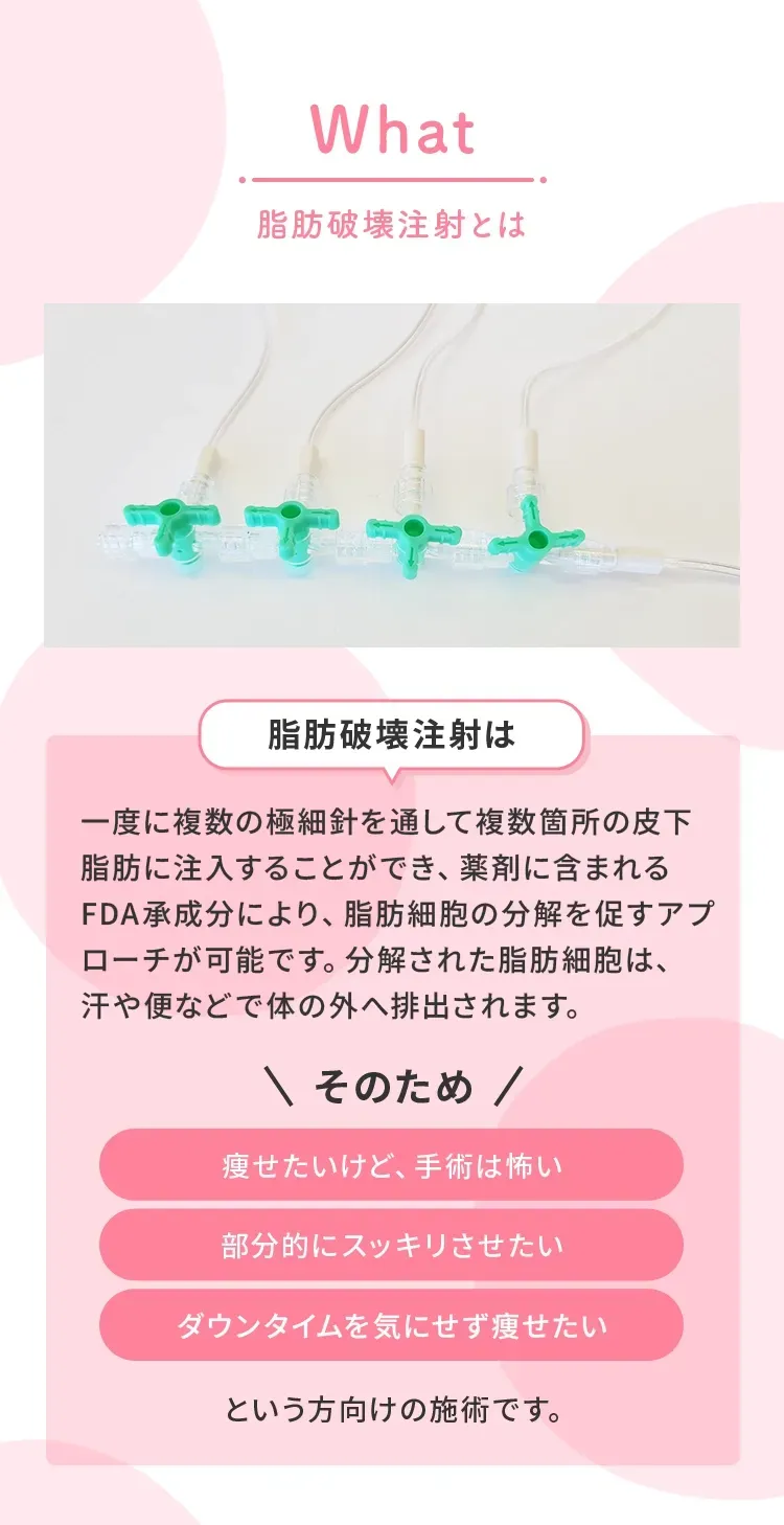 脂肪破壊注射とは