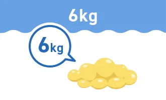 6kg