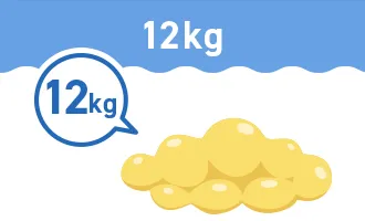 12kg